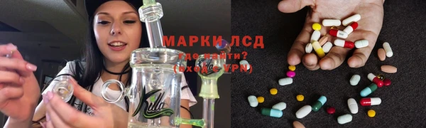 ПСИЛОЦИБИНОВЫЕ ГРИБЫ Нея