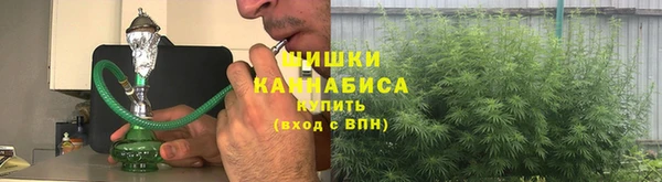 дживик Нефтекумск