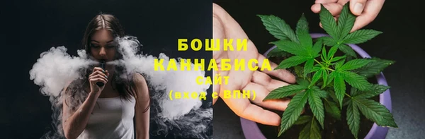 каннабис Новозыбков