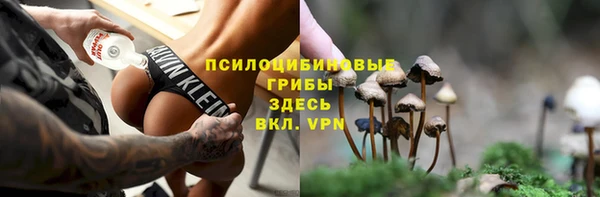 дживик Нефтекумск