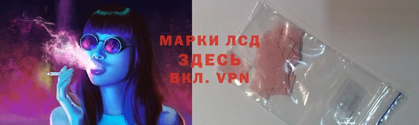 ПСИЛОЦИБИНОВЫЕ ГРИБЫ Нея
