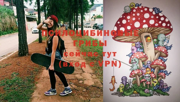 дживик Нефтекумск