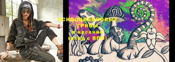 первитин Новодвинск