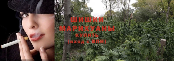 первитин Новодвинск