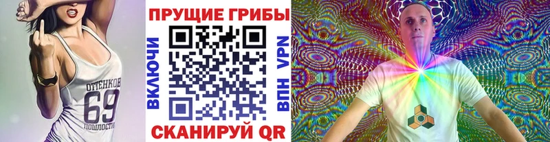 что такое   blacksprut вход  Псилоцибиновые грибы Psilocybine cubensis  Рыльск 